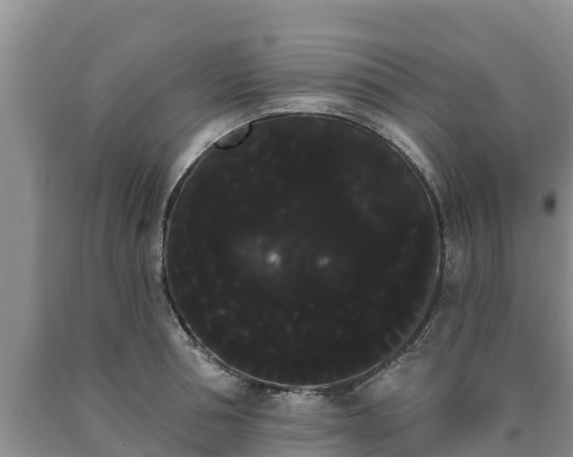 X0000090710994200707271128