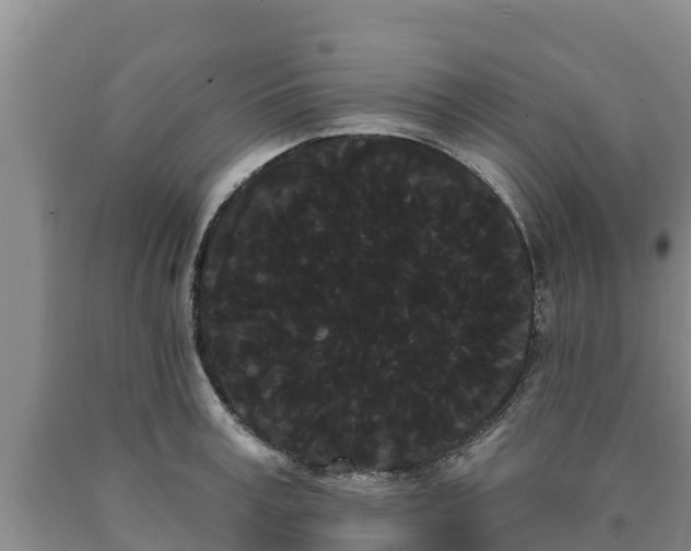 X0000090710995200707271128