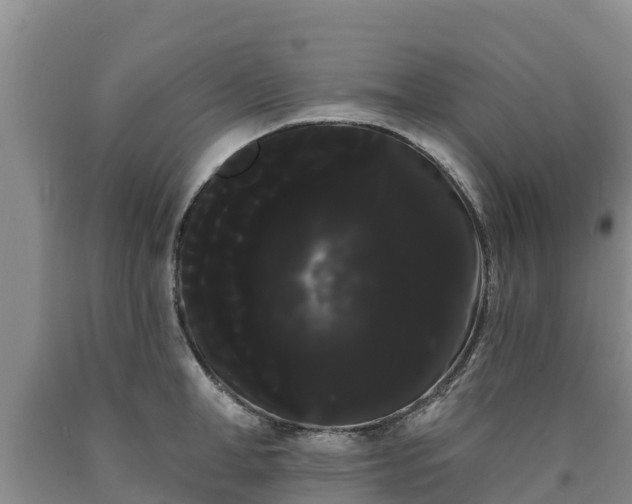 X0000090710998200707271127