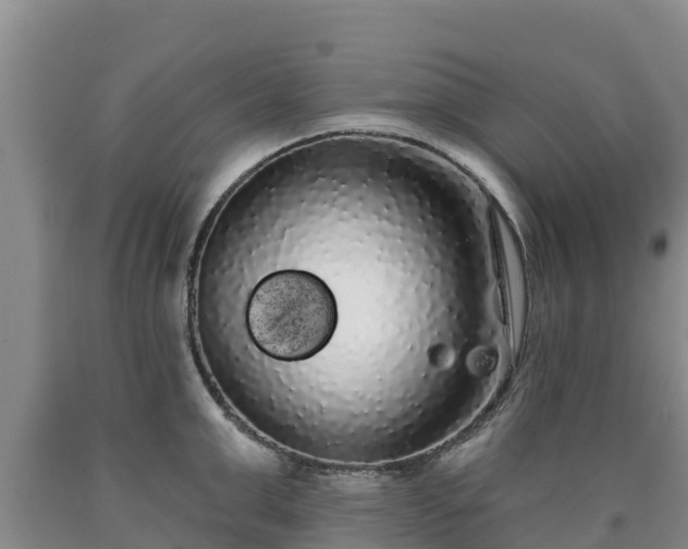 X0000090710999200707271127