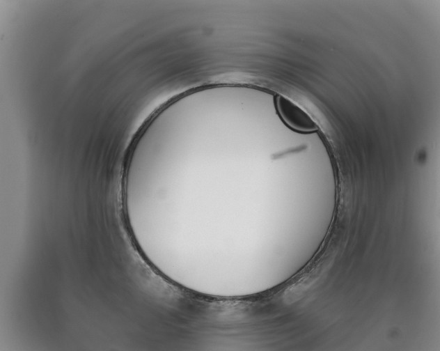 X0000090711000200707271127