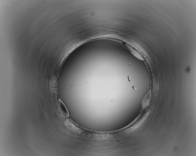 X0000090711001200707271127