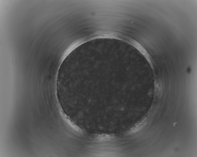 X0000090711002200707271127