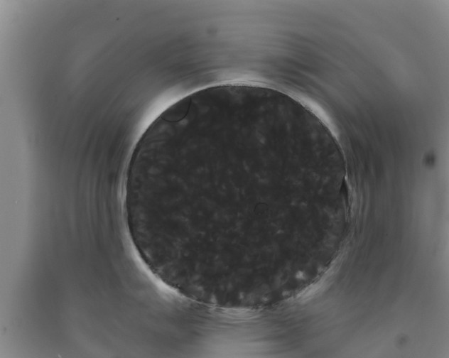 X0000090711007200707271127