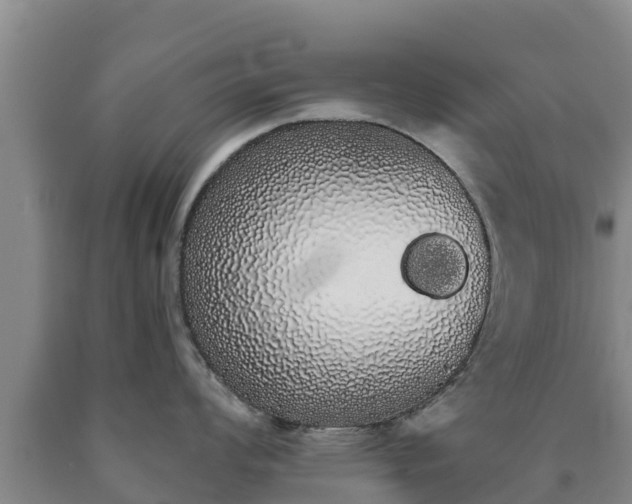 X0000090711008200707271127