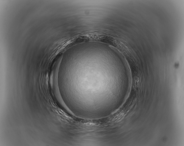 X0000090711010200707271127