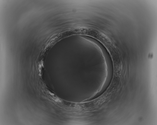 X0000090711013200707271127