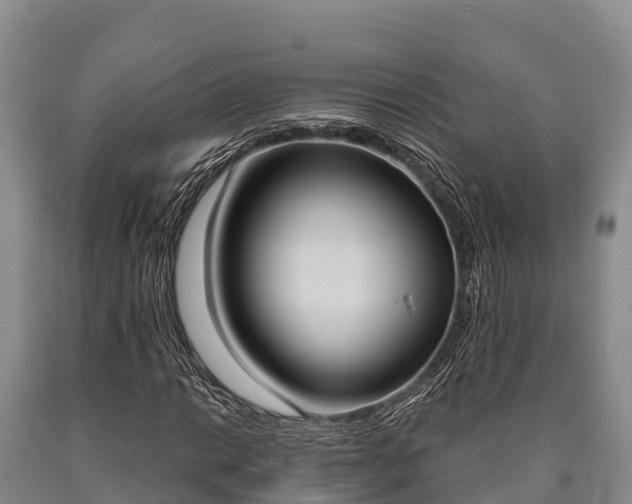 X0000090711014200707271127