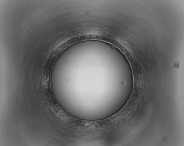 X0000090711015200707271127