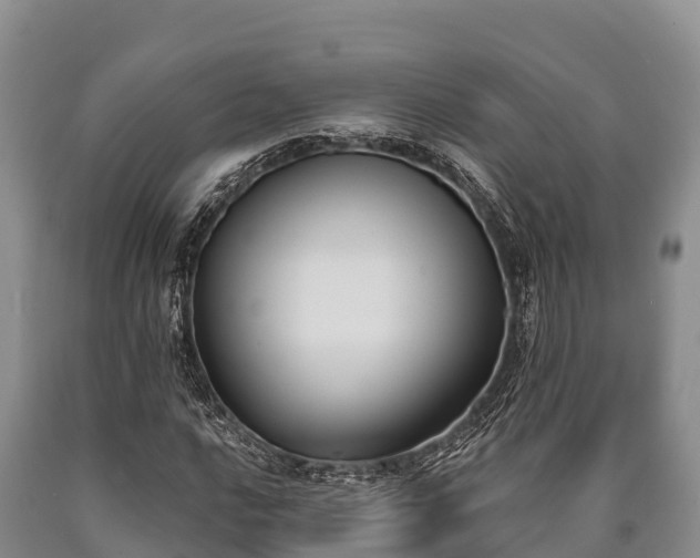 X0000090711016200707271127