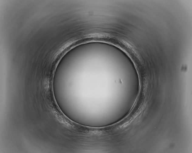 X0000090711017200707271127