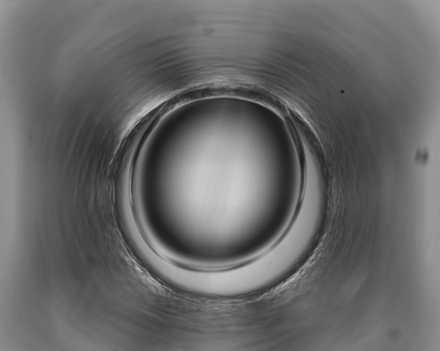 X0000090711018200707271127