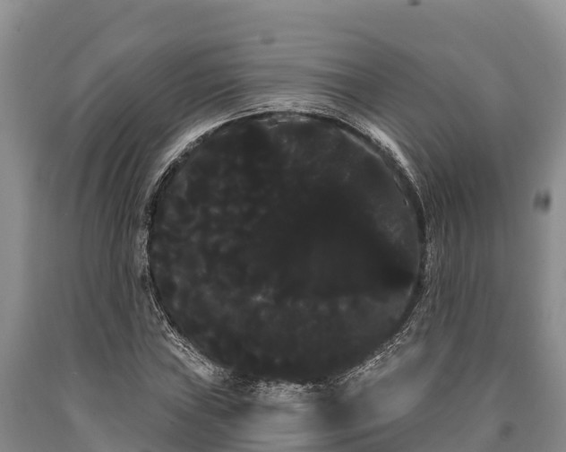 X0000090711019200707271127