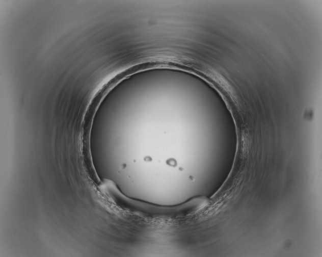 X0000090711020200707271127