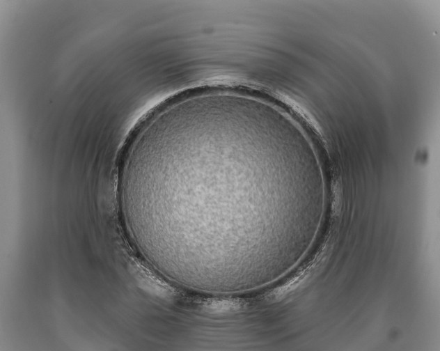 X0000090711021200707271127