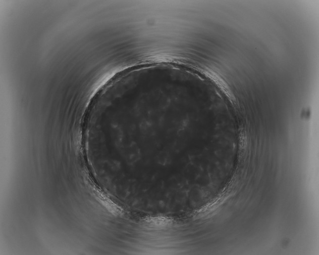 X0000090711023200707271127