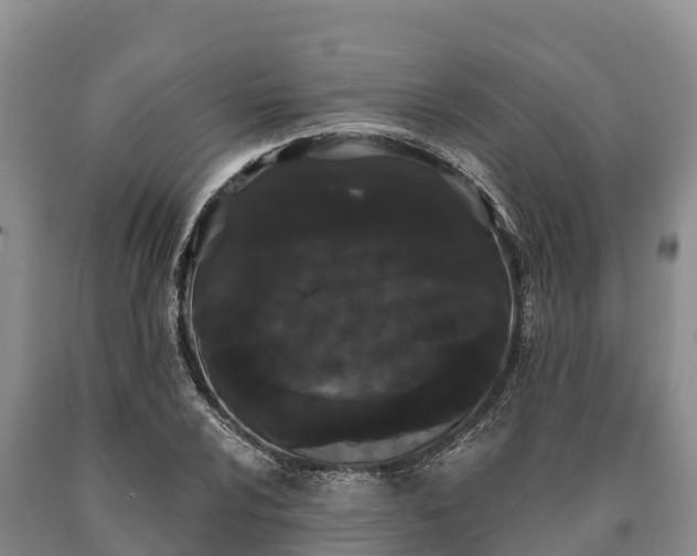 X0000090711024200707271127