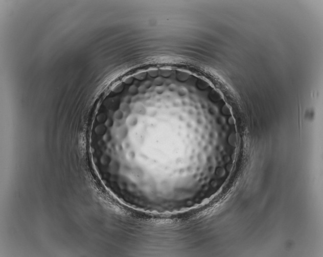 X0000090711025200707271127