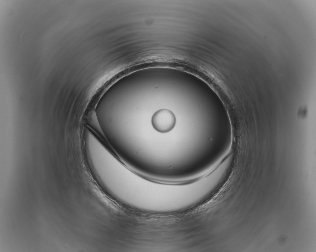 X0000090711026200707271127