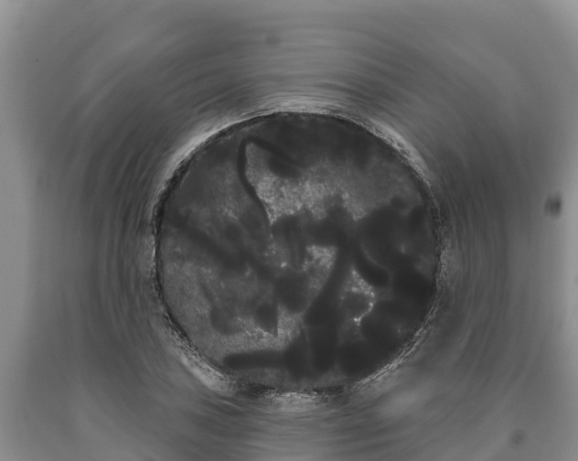 X0000090711027200707271127