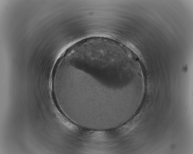 X0000090711028200707271127