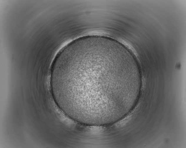 X0000090711029200707271127