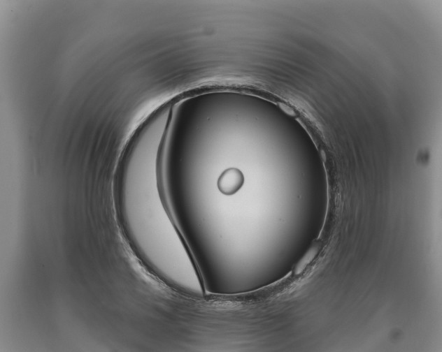 X0000090711030200707271127