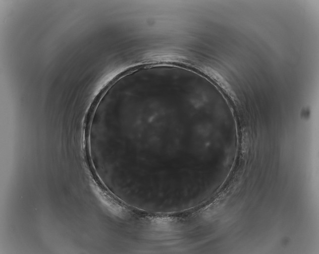 X0000090711031200707271127