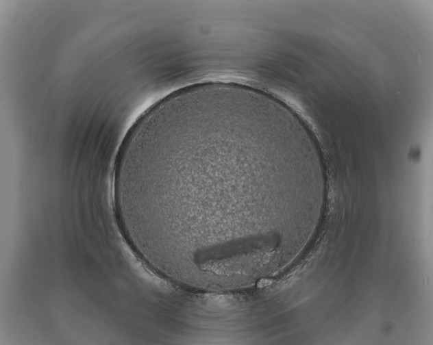 X0000090711032200707271127