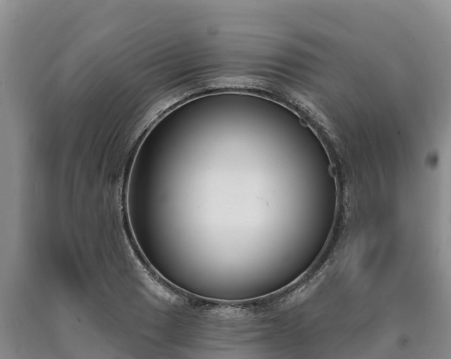 X0000090711033200707271127