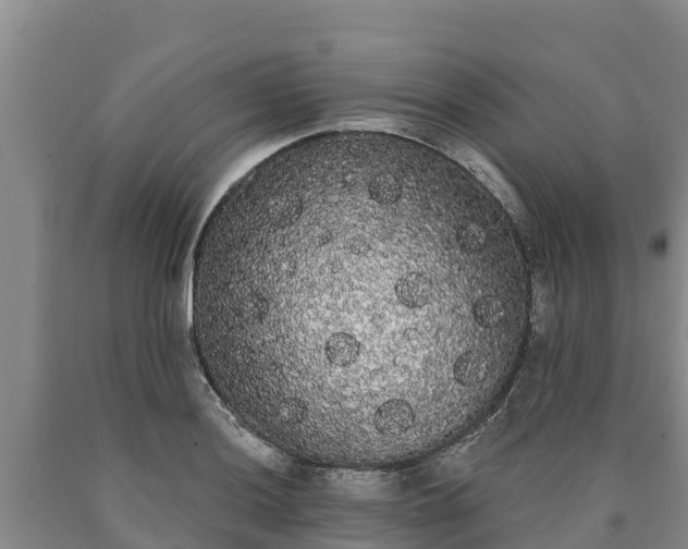 X0000090711036200707271127