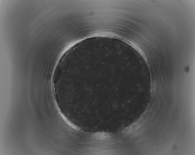 X0000090711037200707271127