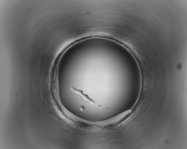 X0000090711038200707271127