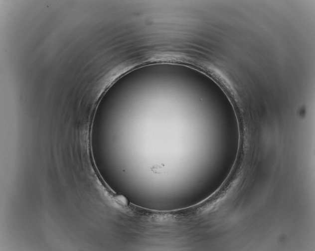 X0000090711041200707271127