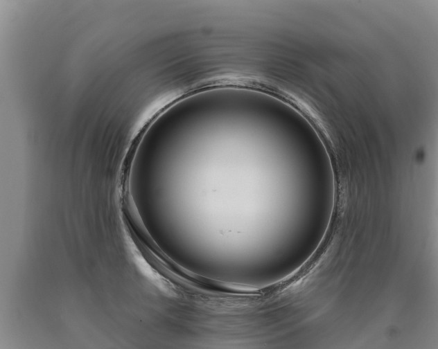 X0000090711042200707271127