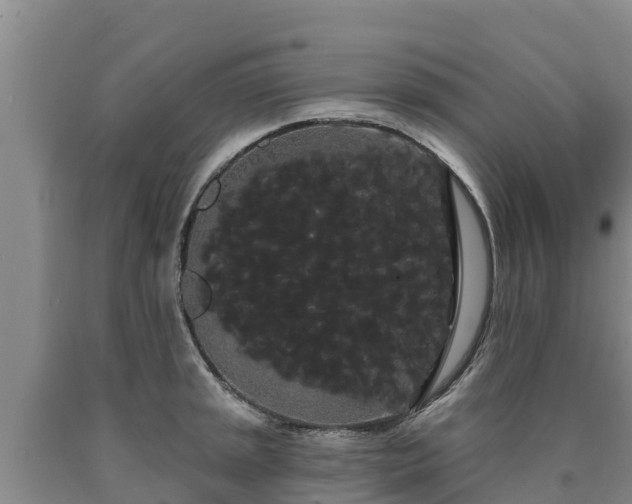 X0000090711045200707271127