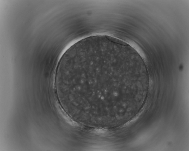 X0000090711052200707271127