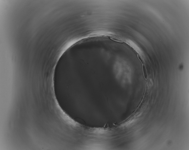 X0000090711055200707271127