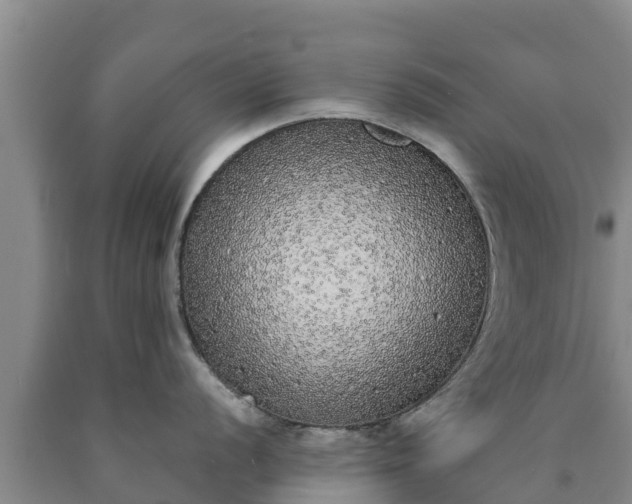 X0000090711056200707271127