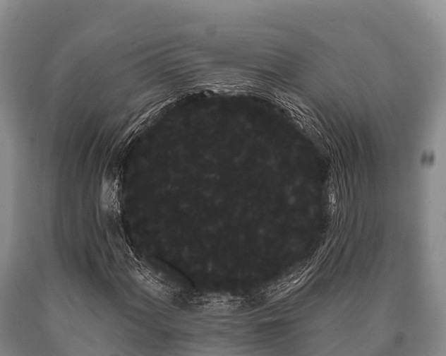 X0000090711060200707271127