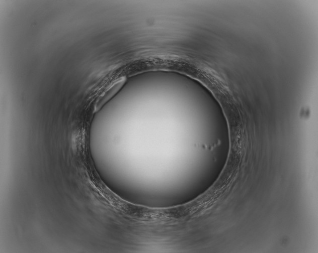 X0000090711061200707271127