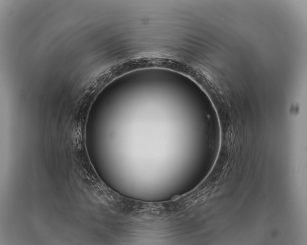 X0000090711062200707271127