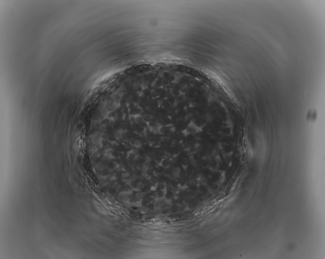 X0000090711063200707271126