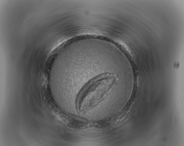 X0000090711064200707271126