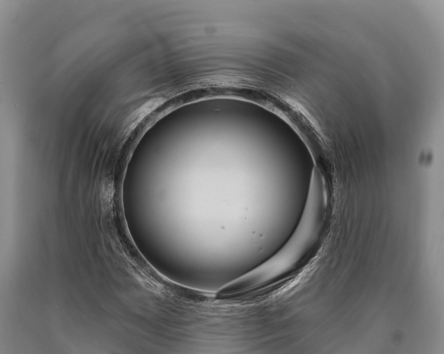 X0000090711065200707271126