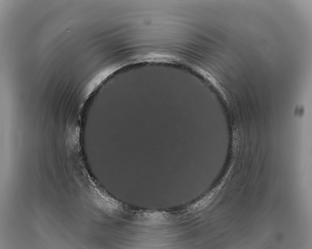 X0000090711066200707271126