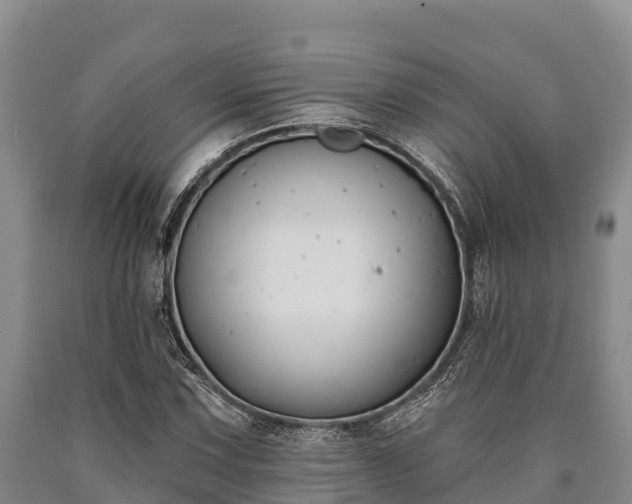 X0000090711067200707271126