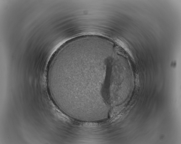 X0000090711068200707271126