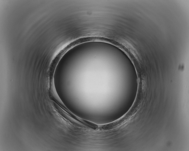 X0000090711069200707271126