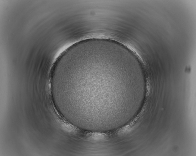 X0000090711070200707271126